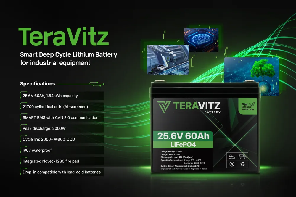 TeraVitz - 산업 장비용 스마트 딥 사이클 리튬 배터리