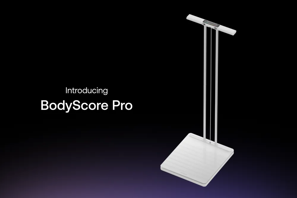 위딩스 바디 스캔 2